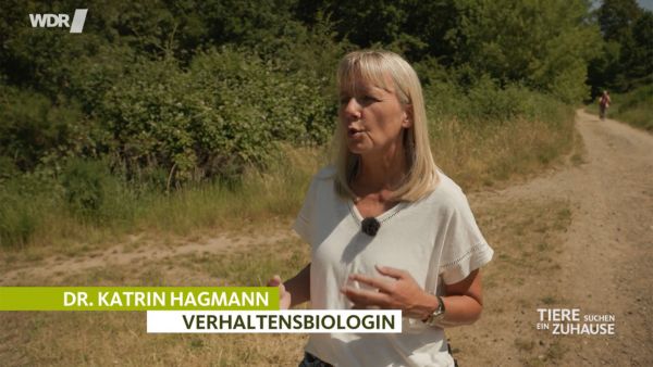 Dr. Katrin Hagmann bei Tiere suchen ein Zuhause