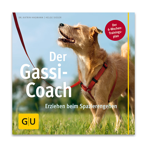 Der Gassi Coach: Erziehen beim Spazierengehen