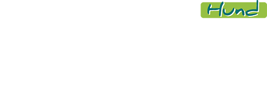 Qualifizierter Trainings­spezialist für Hunde