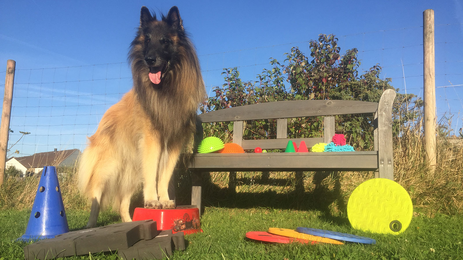 Aktuelles Kursangebot auf einen Blick